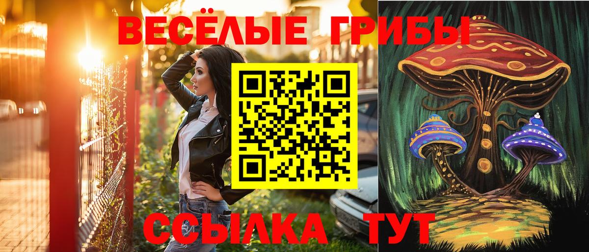 Псилоцибиновые грибы ЛСД  Вход с VPN  Крымск 